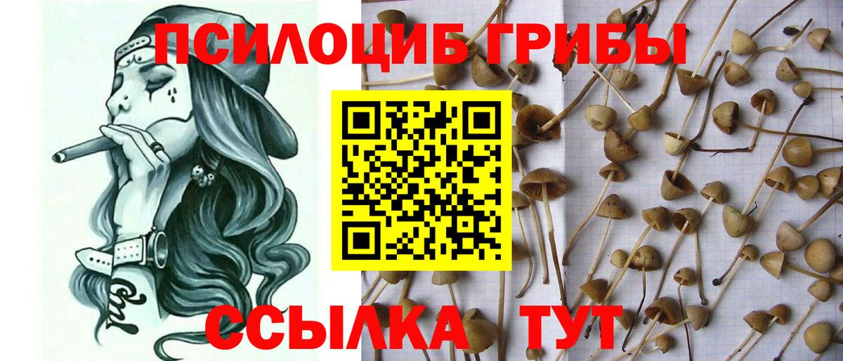 Псилоцибиновые грибы ЛСД  Галлюциногенные грибы Psilocybine cubensis  Маркс  Вход с VPN 
